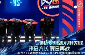 关于快船队遭遇抢七战失利，停留季后赛赛场的信息