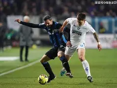 亚特兰大主场击败帕尔马，实现连胜