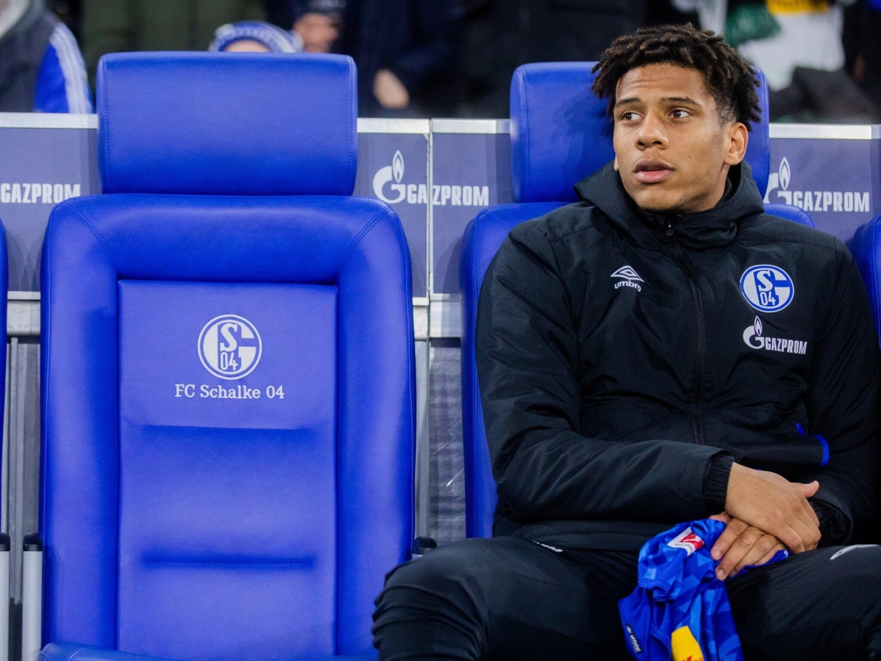 包含沙尔克官方宣布新援加盟，提升球队整体实力的词条